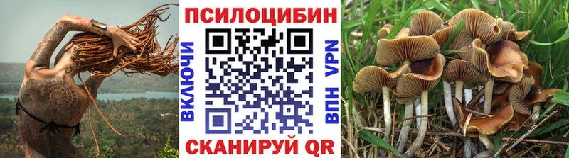 KRAKEN tor Зерноград Псилоцибиновые грибы мицелий