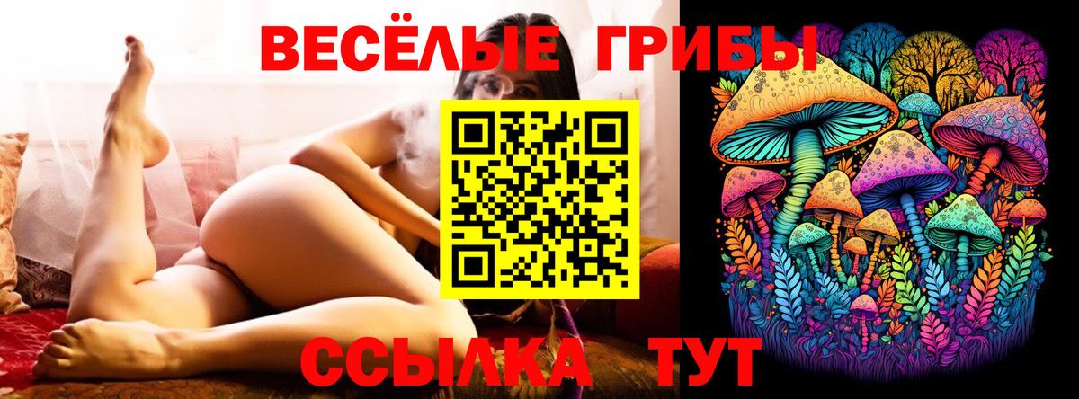 Псилоцибиновые грибы Cubensis Зерноград