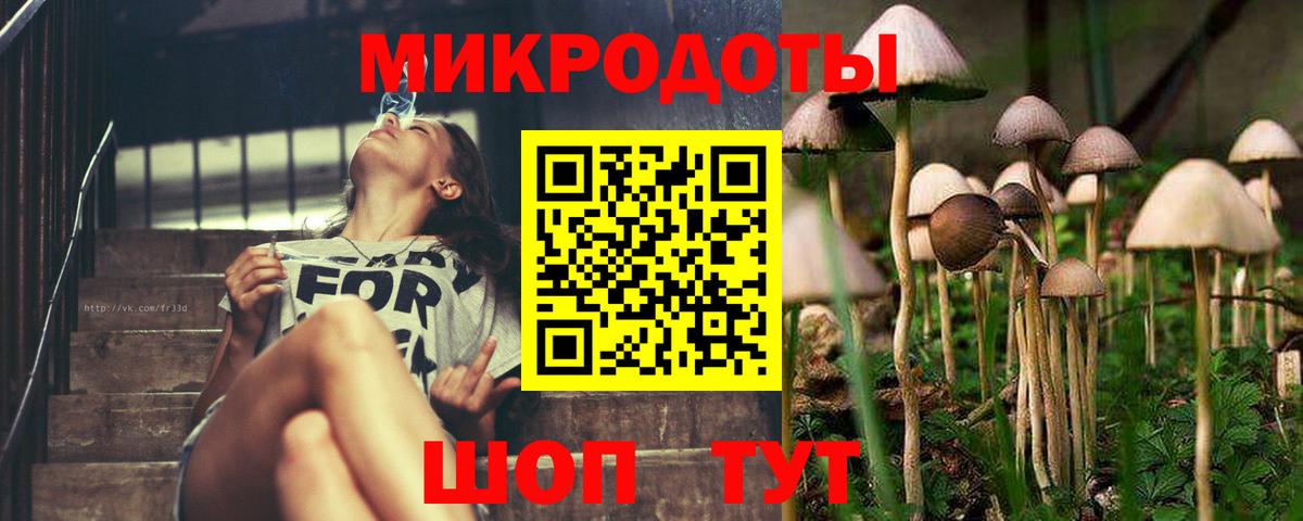 Галлюциногенные грибы Magic Shrooms  Вход с VPN  Галлюциногенные грибы прущие грибы  Зерноград 